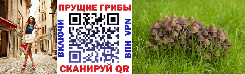 хочу наркоту  Касли  Галлюциногенные грибы ЛСД 
